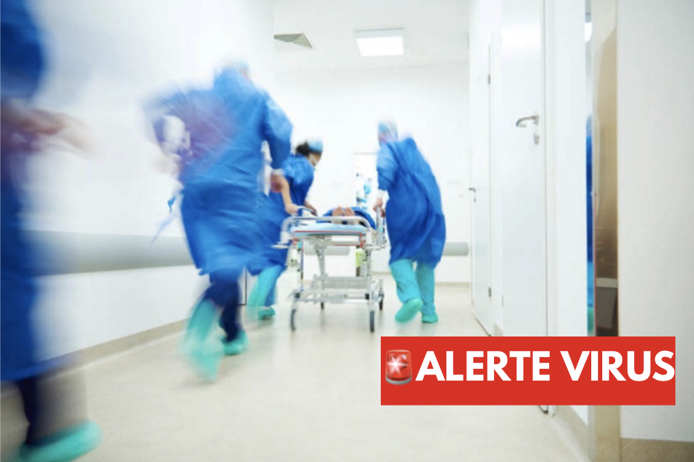Capture le 2026 05 15 a 10.08.21 ALERTE Sant&eacute; Canada: Huit personnes sous surveillance pour le hantavirus au Qu&eacute;bec