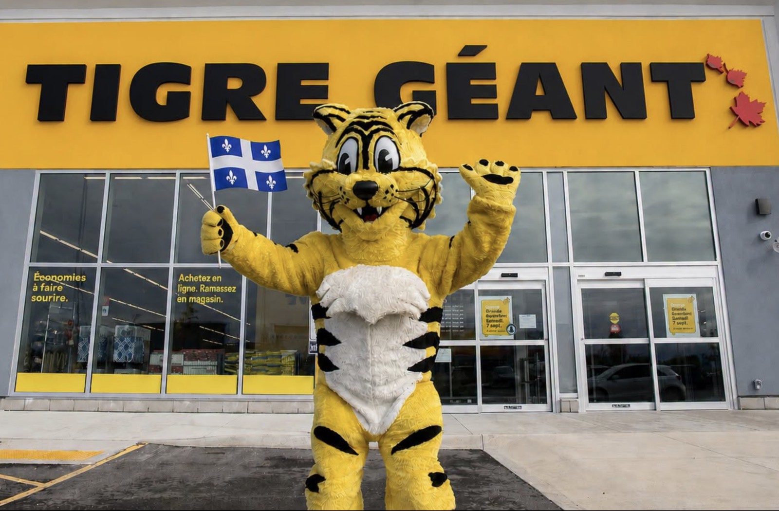 Capture decran le 2026 06 26 a 11.28.20 Gros rabais chez Tigre G&eacute;ant sur un item ador&eacute; des r&eacute;seaux sociaux