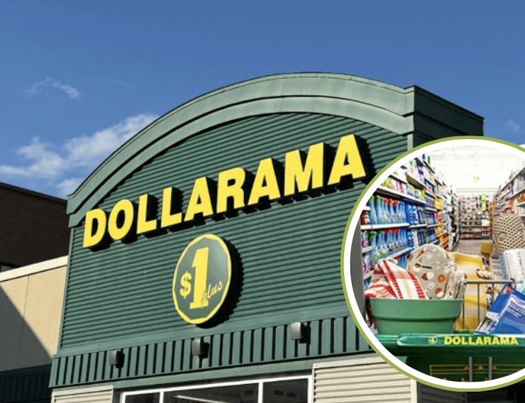 Capture le 2026 06 03 a 08.46.38 Alerte aubaine : Cette d&eacute;coration estivale virale sur TikTok co&ucirc;te deux fois moins cher au Dollarama