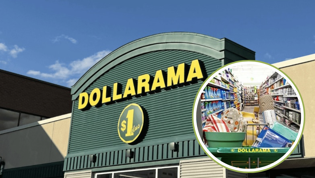 Capture le 2026 06 03 a 08.46.38 Alerte aubaine : Cette d&eacute;coration estivale virale sur TikTok co&ucirc;te deux fois moins cher au Dollarama