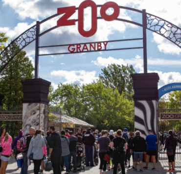 « Après 4 ans de préparation » : Le Zoo de Granby accueille une nouvelle résidente très spéciale 4 « Après 4 ans de préparation » : Le Zoo de Granby accueille une nouvelle résidente très spéciale Capture le 2026 06 05 a 10.36.11 « Après 4 ans de préparation » : Le Zoo de Granby accueille une nouvelle résidente très spéciale