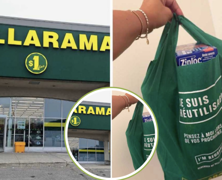 Capture le 2026 07 23 a 12.20.45 Tout le monde court chez Dollarama pour mettre la main sur cet objet &agrave; 5 $