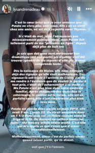 Lysandre Nadeau fait une annonce bouleversante : tout est terminé 2 Lysandre Nadeau fait une annonce bouleversante : tout est terminé Capture decran 2026 08 13 135715 Lysandre Nadeau fait une annonce bouleversante : tout est terminé