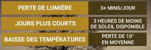 Capture decran 2026 08 31 101301 Les prochaines semaines pourraient r&eacute;server une surprise m&eacute;t&eacute;o au Qu&eacute;bec