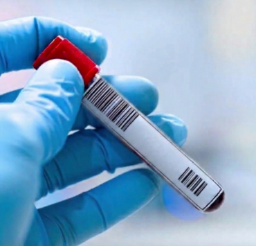Gemini Generated Image pd4vy7pd4vy7pd4v Alerte sanitaire au Qu&eacute;bec : un virus suscite l&rsquo;inqui&eacute;tude au sein de la population.