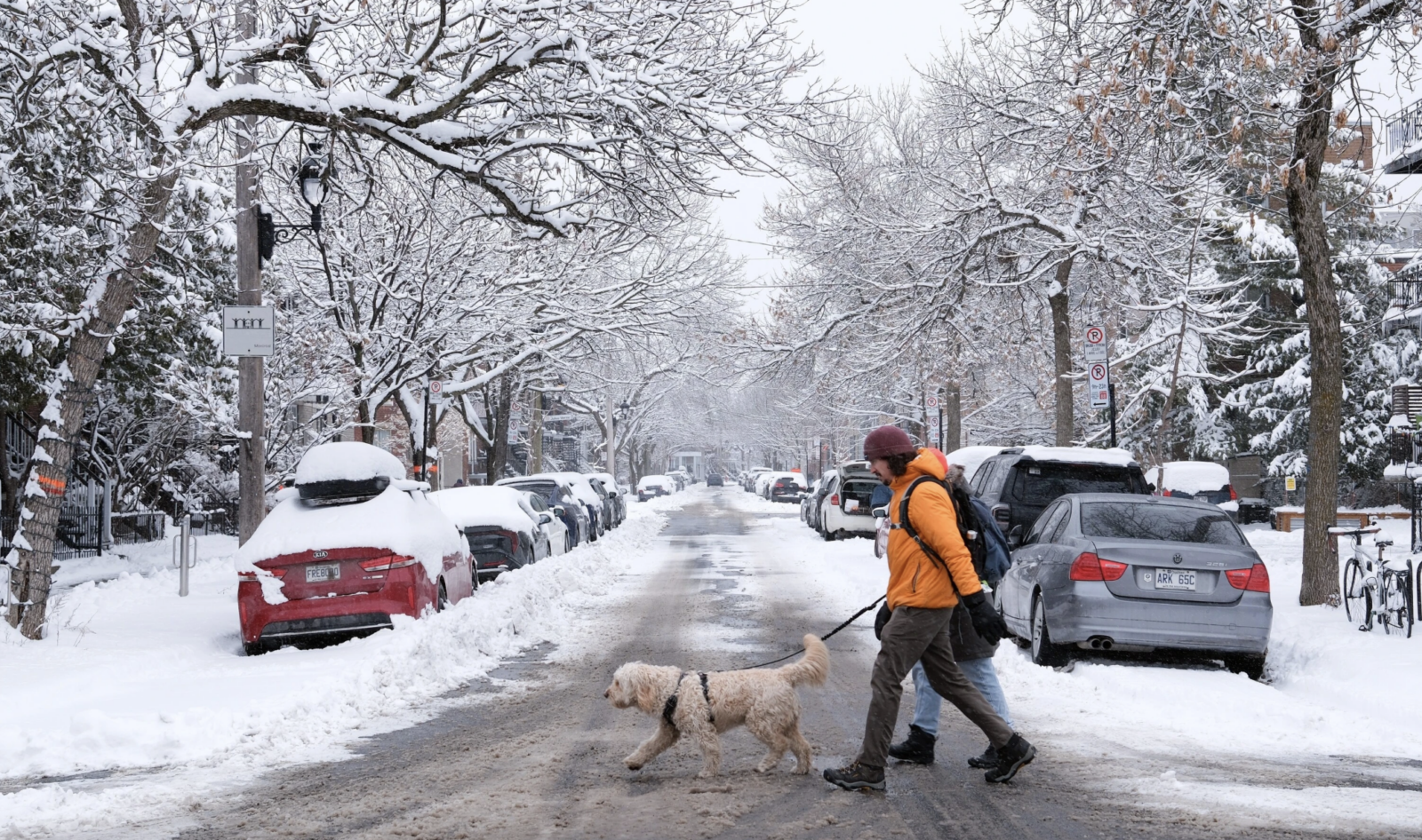 Alerte météo hivernale : plusieurs régions du Québec sont concernées, vérifiez la vôtre ! 1 Alerte météo hivernale : plusieurs régions du Québec sont concernées, vérifiez la vôtre ! Capture le 2026 09 10 a 07.50.32 Alerte météo hivernale : plusieurs régions du Québec sont concernées, vérifiez la vôtre !