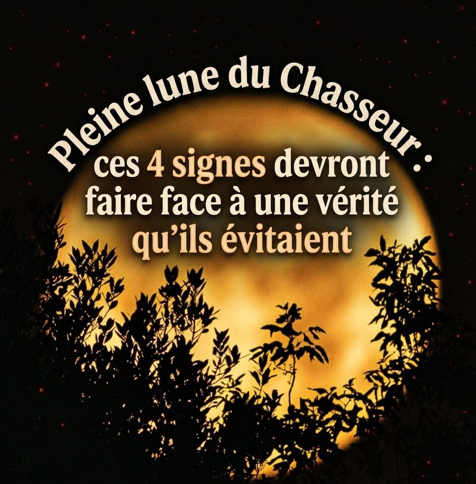 Pleine lune du Chasseur : ces 4 signes devront faire face à une vérité qu’ils évitaient 1 Pleine lune du Chasseur : ces 4 signes devront faire face à une vérité qu’ils évitaient pleinelune e1792773982386 Pleine lune du Chasseur : ces 4 signes devront faire face à une vérité qu’ils évitaient