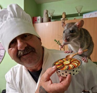 ratatouille Un homme cuisine avec son rat g&eacute;ant&hellip; et &ccedil;a rappelle Ratatouille